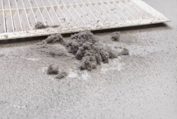 Best Emergency Air Duct Cleaning  in Tampa, FL