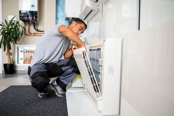 Best Air Duct Mold Removal  in Tampa, FL